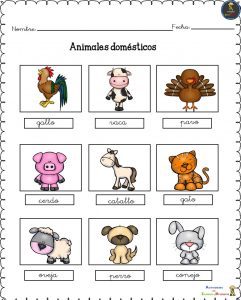 Conociendo-a-los-animales