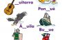 Libro de lectoescritura 